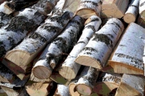 Купить недорогие березовые дрова цена